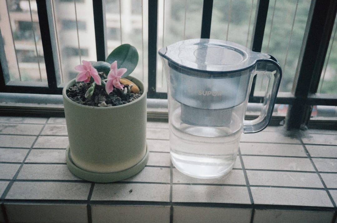 ZeroWater vs PUR Pitcher: Taste Test & Pro Comparison
