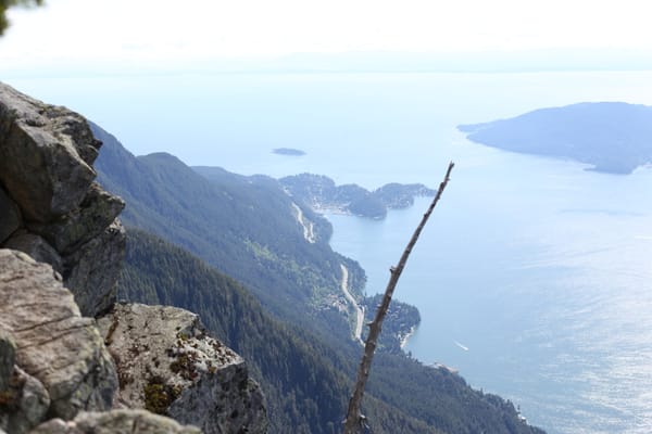 Best Robo-Advisor in Europe for Automating Your Investments