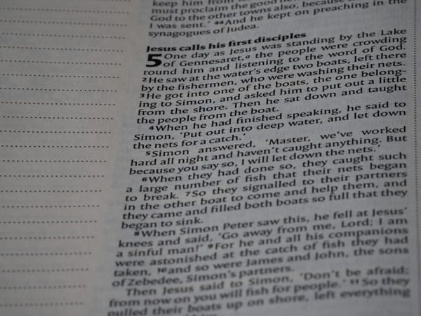 Automate SAP: 5 Tasks to Delegate to AI Daily (2026 Guide)