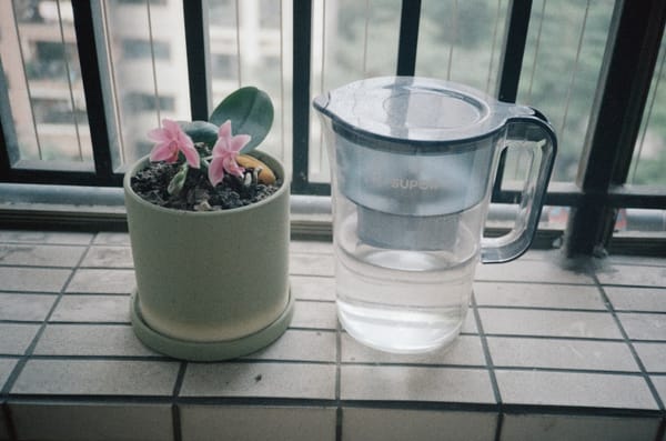 ZeroWater vs PUR Pitcher: Taste Test & Pro Comparison